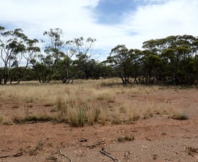 Rural / Farming commercial property sold at Section/143 Pine Creek Road Parnaroo SA 5422