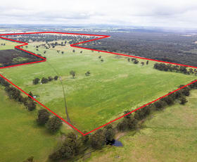 Rural / Farming commercial property sold at Chapmans Lane Tooan VIC 3409