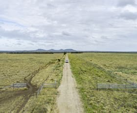 Rural / Farming commercial property sold at 2842 Bundi Road Wandoan QLD 4419