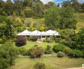 Rural / Farming commercial property sold at 298 Daisy Hill Road Bega NSW 2550
