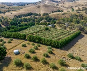 Rural / Farming commercial property for sale at 1302 Fish River Road Narrawa Via Crookwell NSW 2583