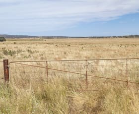 Rural / Farming commercial property sold at 'Amelia Park' Barrier Highway Peterborough SA 5422