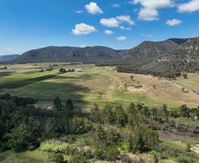 Rural / Farming commercial property for sale at 321 Milbrodale Road Broke NSW 2330