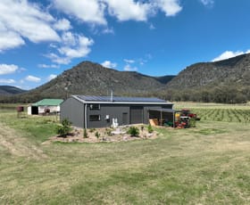 Rural / Farming commercial property for sale at 321 Milbrodale Road Broke NSW 2330