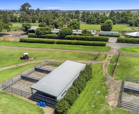 Rural / Farming commercial property for lease at Freemans Reach NSW 2756