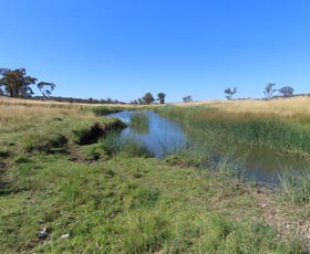Rural / Farming commercial property sold at "Farley"/665 Polhill Road Wellingrove NSW 2370