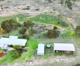 Rural / Farming commercial property sold at 27 Schroders Road Tenterfield NSW 2372