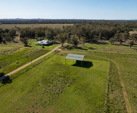 Rural / Farming commercial property for sale at 394 Kerringle Road Gunnedah NSW 2380