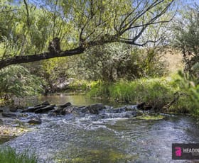 Rural / Farming commercial property sold at 1/55 Daniel Lane Forbes Creek NSW 2621