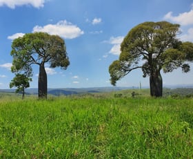 Rural / Farming commercial property for sale at Tellebang Road Monto QLD 4630