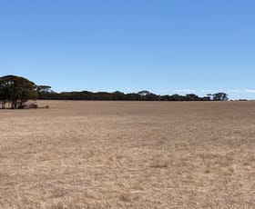 Rural / Farming commercial property for sale at East Road Pingrup WA 6343