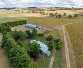 Rural / Farming commercial property sold at 2965 Mitchell Highway Vittoria NSW 2799