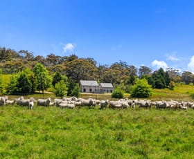 Rural / Farming commercial property for sale at Anglers Reach Road Anglers Reach NSW 2629