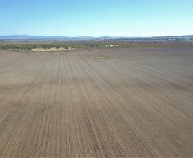 Rural / Farming commercial property sold at 1005 Bulga Road Kelvin NSW 2380