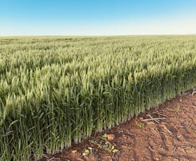 Rural / Farming commercial property sold at 8132 North West Coastal Highway Ogilvie WA 6535