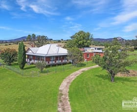 Rural / Farming commercial property for sale at 379 New England Highway Tenterfield NSW 2372