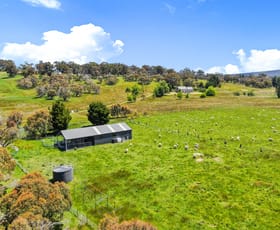 Rural / Farming commercial property for sale at 'mansfields' Anglers Reach Cooma NSW 2630