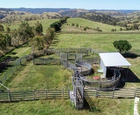 Rural / Farming commercial property sold at 365 Hanworth Road Taralga NSW 2580