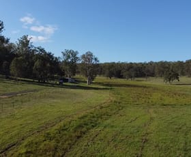 Rural / Farming commercial property sold at 377 Pitches Road Doubtful Creek NSW 2470