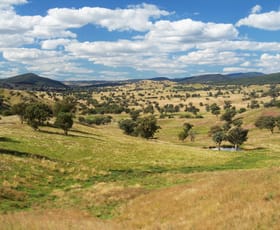 Rural / Farming commercial property sold at 817 Baghdad Road Cargo NSW 2800
