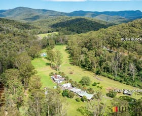 Rural / Farming commercial property for sale at 2581 Kings Highway Currowan NSW 2536 Rural / Farming commercial property for sale at 2581 Kings Highway Currowan NSW 2536