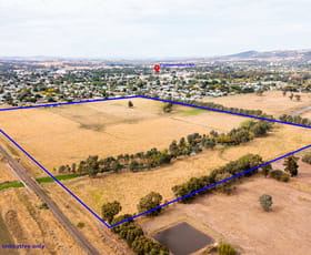 Rural / Farming commercial property sold at Lot 1 Temora Street Cootamundra NSW 2590