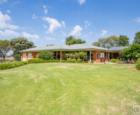 Rural / Farming commercial property sold at 868 Walla Walla Road Gerogery NSW 2642