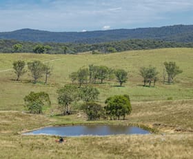 Rural / Farming commercial property sold at 53 Snake Creek Road Tenterfield NSW 2372