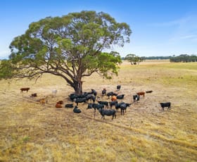 Rural / Farming commercial property sold at 171 Dobie Road Toolleen VIC 3551