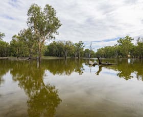 Rural / Farming commercial property for sale at 99 Mollys Lagoon Road Narrandera NSW 2700