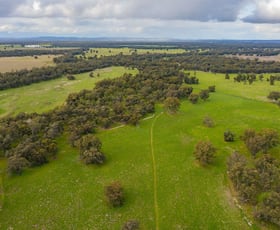 Rural / Farming commercial property sold at 99 Mollys Lagoon Road Narrandera NSW 2700