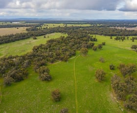 Rural / Farming commercial property for sale at 99 Mollys Lagoon Road Narrandera NSW 2700