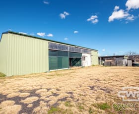 Rural / Farming commercial property sold at 961 Polhill Road Wellingrove NSW 2370