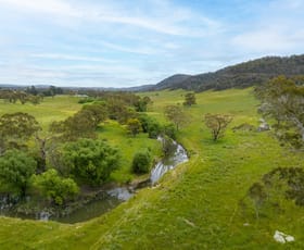 Rural / Farming commercial property for sale at 504 Pipers Flat Road Wallerawang NSW 2845