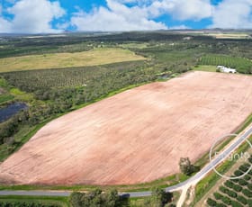 Rural / Farming commercial property for sale at 322 Fassio Road Mareeba QLD 4880