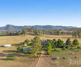 Rural / Farming commercial property sold at 15 Rodd Street Broke NSW 2330