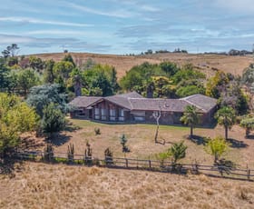 Rural / Farming commercial property sold at 473 White Rock Road White Rock NSW 2795