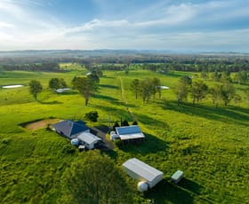 Rural / Farming commercial property for sale at 75 Busby's Flat Road Leeville NSW 2470
