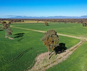 Rural / Farming commercial property for sale at Western Highway Stawell VIC 3380