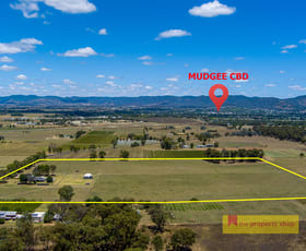Rural / Farming commercial property sold at 251 Henry Lawson Drive Mudgee NSW 2850