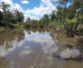 Rural / Farming commercial property for sale at 83 Hofsetter Road Morganville QLD 4671