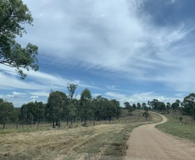 Rural / Farming commercial property sold at 195 Wild Deer Drive Blackbutt QLD 4314 Rural / Farming commercial property sold at 195 Wild Deer Drive Blackbutt QLD 4314