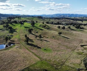 Rural / Farming commercial property for sale at 88 Old Wheeo Road Taylors Flat NSW 2586