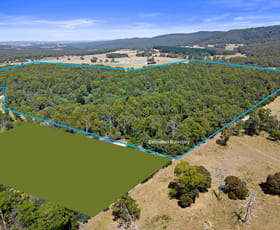 Rural / Farming commercial property sold at 17 Ballahoo Road Latrobe TAS 7307