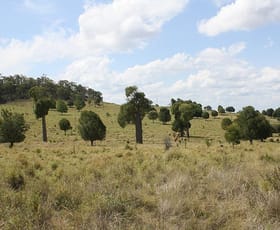 Rural / Farming commercial property sold at 200 Mill Road Monogorilby QLD 4626