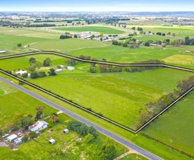 Rural / Farming commercial property for sale at 317 Myrtlebank Road Myrtlebank VIC 3851