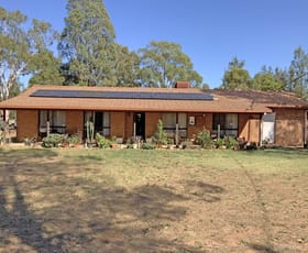 Rural / Farming commercial property sold at 27 High Park Rd Narromine NSW 2821
