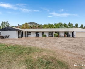 Rural / Farming commercial property for sale at 627 Jerangle Road Bredbo NSW 2626