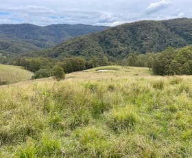 Rural / Farming commercial property sold at 541 Masseys Creek Road East Gresford NSW 2311