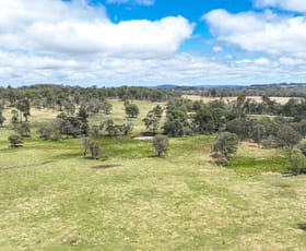 Rural / Farming commercial property sold at 'Lagoona Downs' Rubys Nob Road Niangala NSW 2354